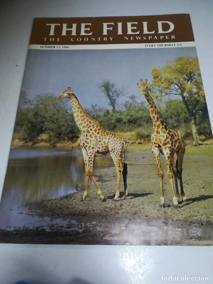 Collection Magazines and Newspapers: THE FIELD. THE COUNTRY NEWSPAPER. 13 OCTOBER 1966. NAVEGACI&Oacute;N, GANADER&Iacute;A, PESCA Y OTROS. VER &Iacute;NDICE.
