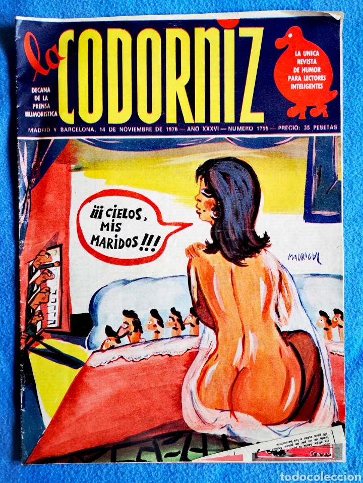 Coleccionismo de Revistas y Peri&oacute;dicos: LA CODORNIZ - N&deg; 1795 - 14 11 1976