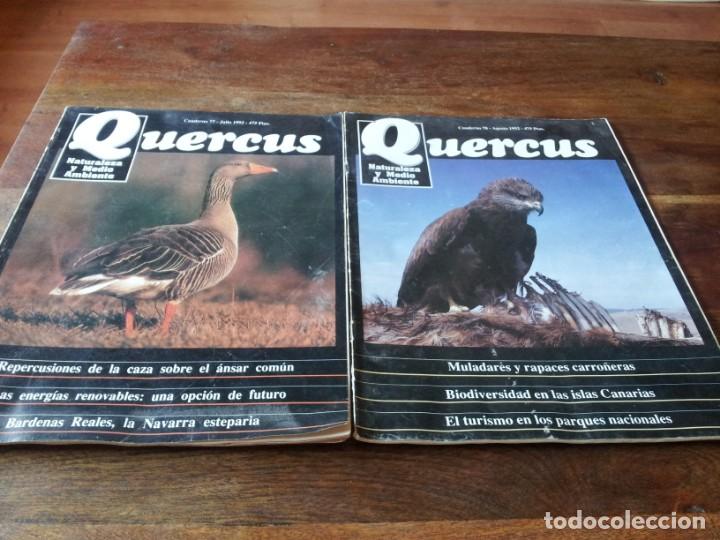 Coleccionismo de revistas y peri&oacute;dicos: lote de 14 revistas Quercus - en buen estado - ver fotos
