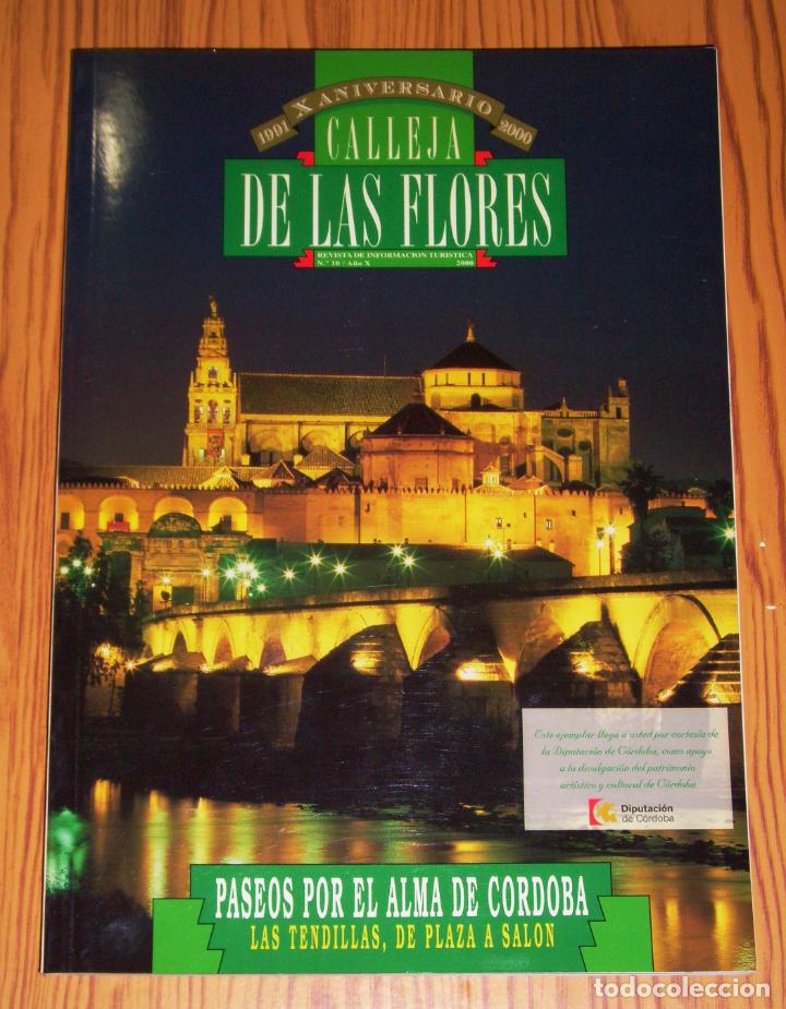 Collection Magazines and Newspapers: CALLEJA DE LAS FLORES : Revista de Informaci&oacute;n Tur&iacute;stica. N&ordm; 10 ; A&ntilde;o X ; 2000 : Paseos por el alma