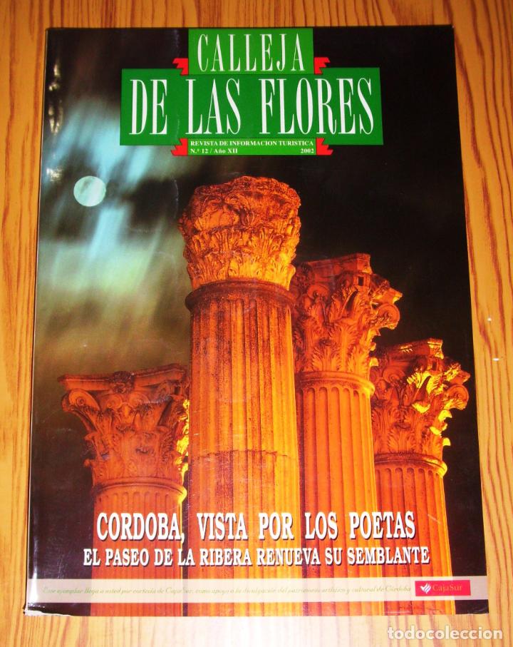 Collection Magazines and Newspapers: CALLEJA DE LAS FLORES : Revista de Informaci&oacute;n Tur&iacute;stica. N&ordm; 12 ; A&ntilde;o XII ; 2002 : C&oacute;rdoba, vista po
