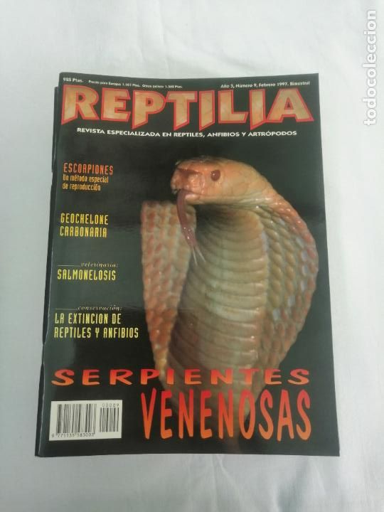 Coleccionismo de revistas y peri&oacute;dicos: REPTILIA N&ordm; 9: REPTILES ANFIBIOS Y ARTR&Oacute;PODOS. SERPIENTES VENENOSAS, ESCORPIONES, SALMONELOSIS.