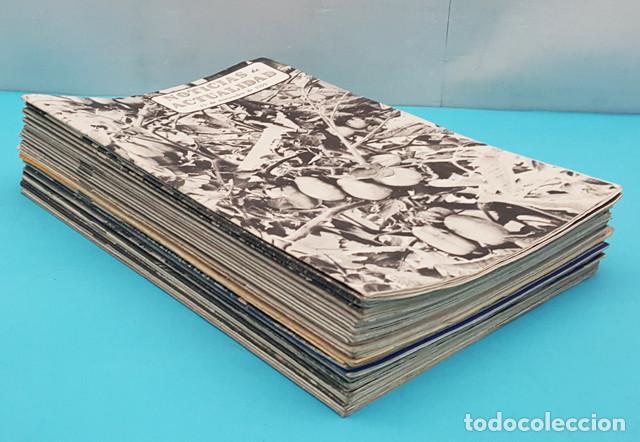Coleccionismo de revistas y peri&oacute;dicos: 35 REVISTAS NOTICIAS DE ACTUALIDAD, EMBAJADA DE LOS ESTADOS UNIDOS A&Ntilde;OS 50/60 USA, VER DESCRIPCION