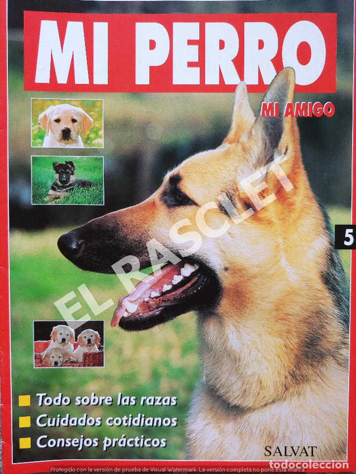 Collection Magazines and Newspapers: MI PERRO MI AMIGO - FASCICULO 5 -EDICIONES SALVAT