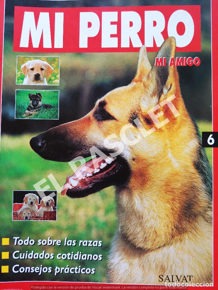 Collection Magazines and Newspapers: MI PERRO MI AMIGO - FASCICULO 6 -EDICIONES SALVAT