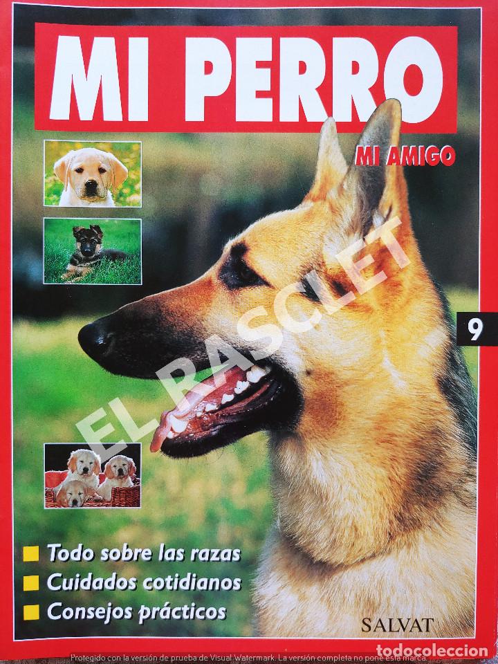 Collection Magazines and Newspapers: MI PERRO MI AMIGO - FASCICULO 9 -EDICIONES SALVAT
