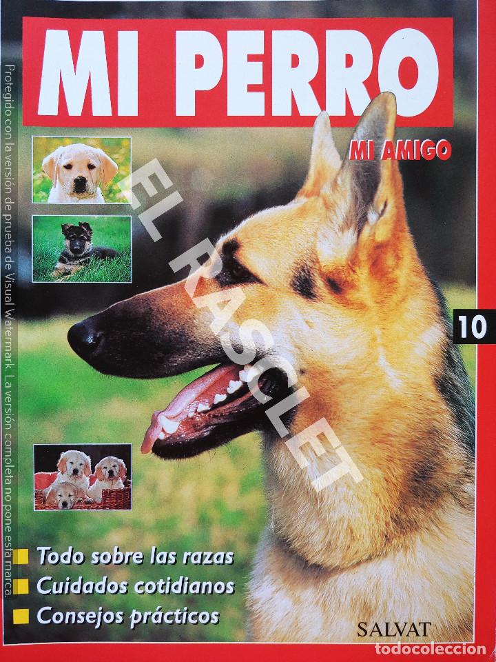 Collection Magazines and Newspapers: MI PERRO MI AMIGO - FASCICULO 10 -EDICIONES SALVAT