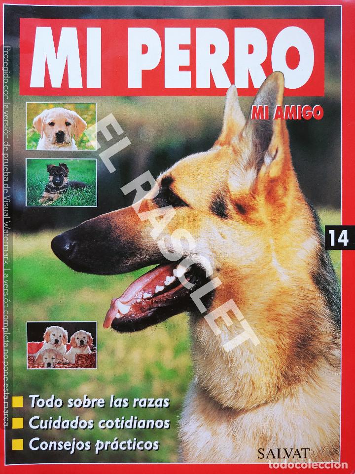 Collection Magazines and Newspapers: MI PERRO MI AMIGO - FASCICULO 14 -EDICIONES SALVAT