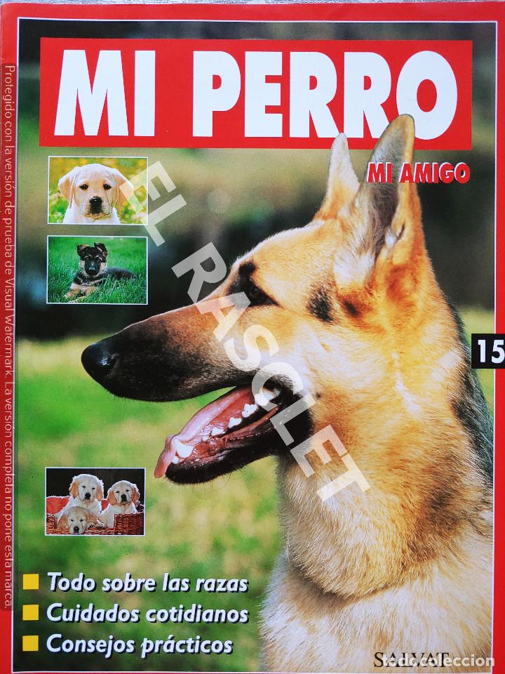 Collection Magazines and Newspapers: MI PERRO MI AMIGO - FASCICULO 15 -EDICIONES SALVAT