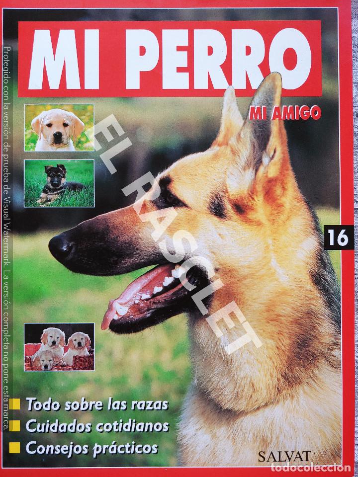 Collection Magazines and Newspapers: MI PERRO MI AMIGO - FASCICULO 16 -EDICIONES SALVAT