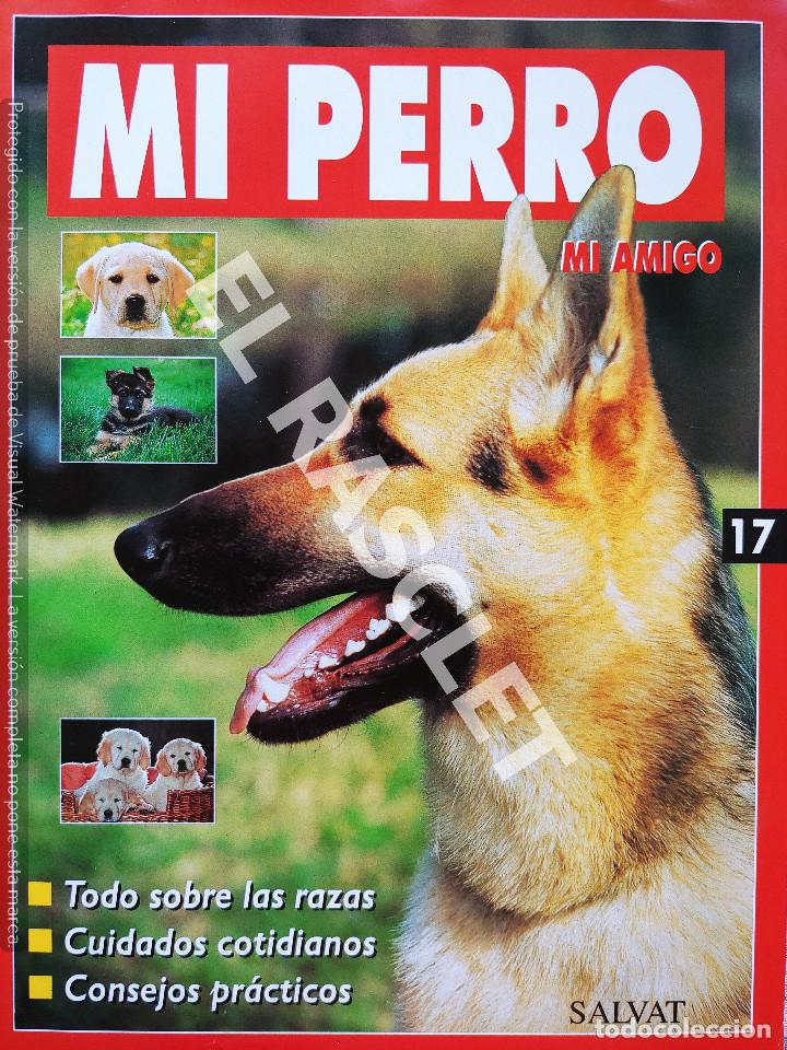 Coleccionismo de revistas y peri&oacute;dicos: MI PERRO MI AMIGO - FASCICULO 17 -EDICIONES SALVAT