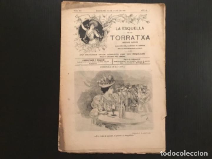 Coleccionismo de revistas y peri&oacute;dicos: Revista Republicana La Esquella de la Torratxa a&ntilde;o 1896 n&uacute;mero 920 portada Apeles Mestres