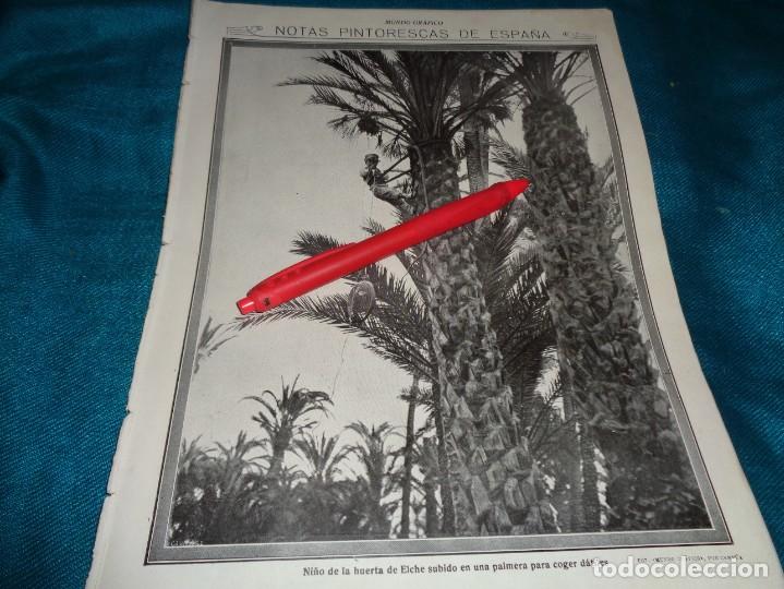 Coleccionismo de Revistas y Peri&oacute;dicos: RECORTE : NI&Ntilde;O DE LA HUERTA DE ELCHE, COGIENDO DATILES. MUNDO GRAFICO, JULIO 1912