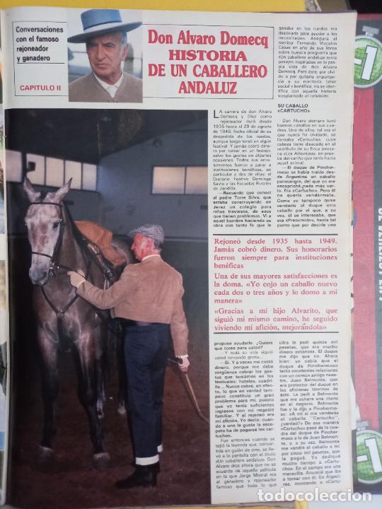 Coleccionismo de Revistas y Peri&oacute;dicos: don alvaro domecq jerez