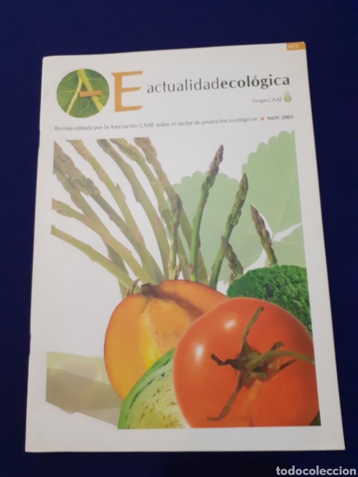 Collezionismo di Riviste e Giornali: REVISTA AE, ACTUALIDADECOLOGICA, GRUPO ACCE 2003, EXCELENTE ESTADO