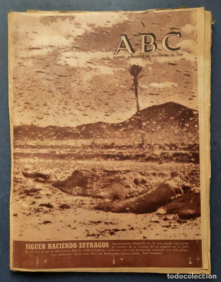 Coleccionismo de Revistas y Peri&oacute;dicos: ABC 12 NOVIEMBRE 1954 - PLAGA DE LANGOSTA EN MARRUECOS.