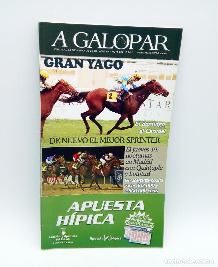 Sammeln von Zeitschriften und Zeitungen: Revista h&iacute;pica A Galopar n&ordm; 474 - 2008
