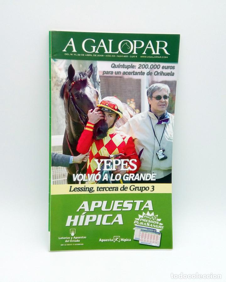 Sammeln von Zeitschriften und Zeitungen: Revista h&iacute;pica A Galopar n&ordm; 465 - 2008