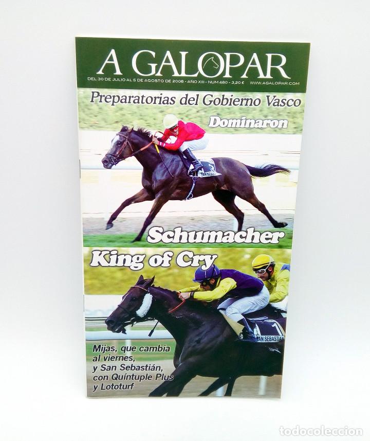 Sammeln von Zeitschriften und Zeitungen: Revista h&iacute;pica A Galopar n&ordm; 480 - 2008