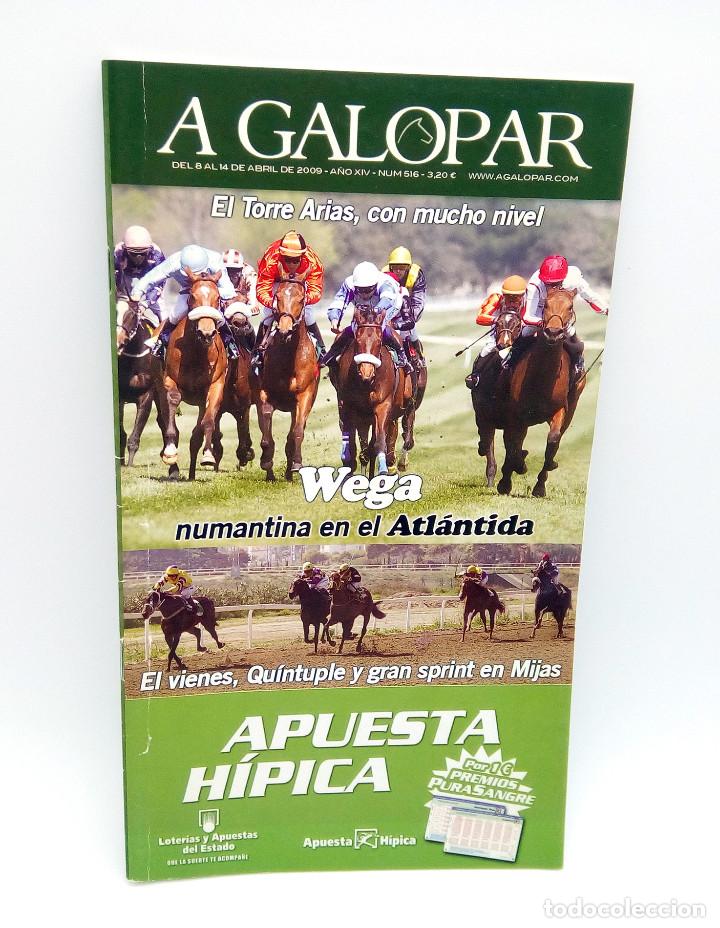 Coleccionismo de Revistas y Peri&oacute;dicos: Revista h&iacute;pica A Galopar n&ordm; 516 - 2009