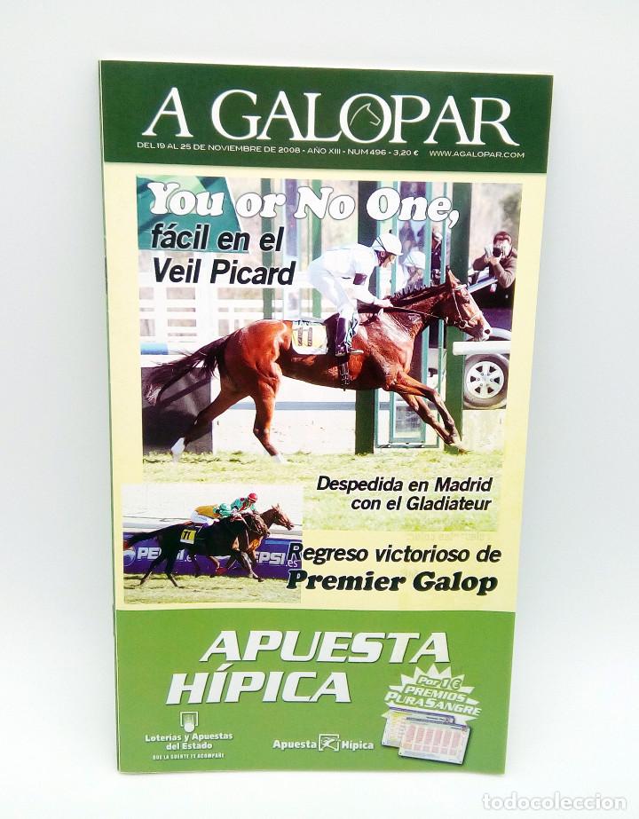 Coleccionismo de Revistas y Peri&oacute;dicos: Revista h&iacute;pica A Galopar n&ordm; 496 - 2008