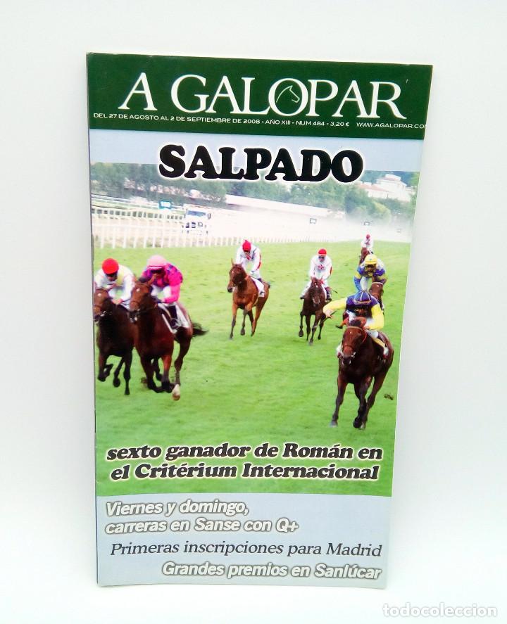 Coleccionismo de revistas y peri&oacute;dicos: Revista h&iacute;pica A Galopar n&ordm; 484 - 2008