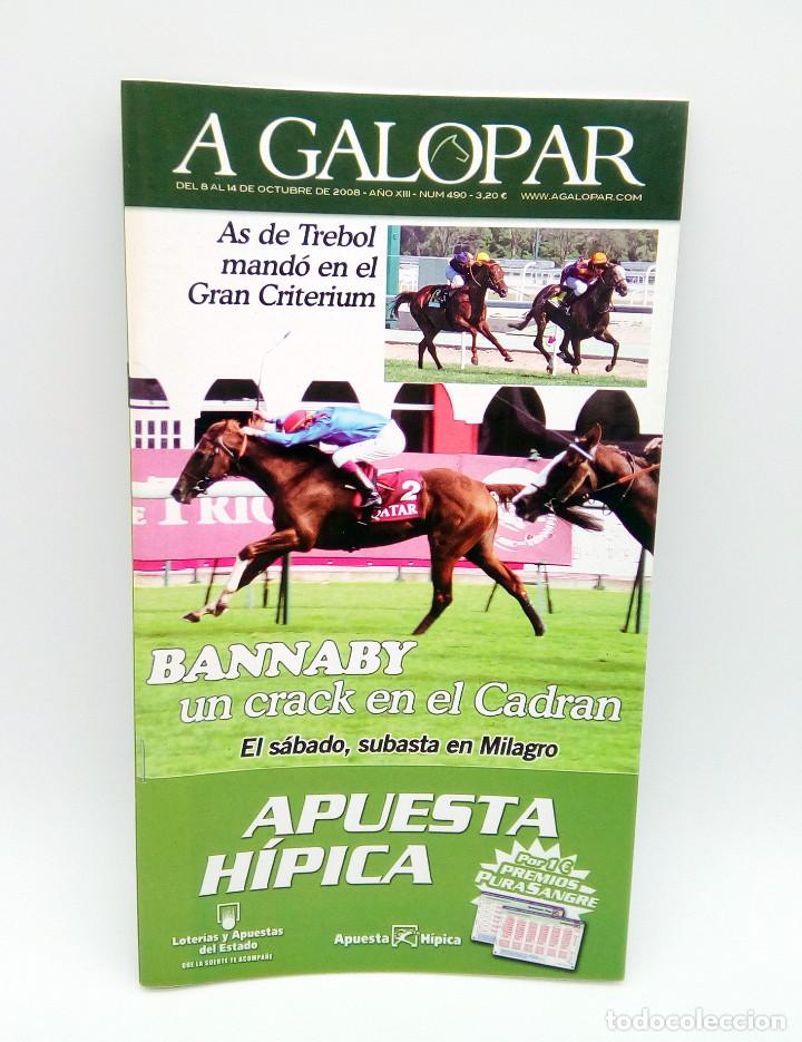 Coleccionismo de revistas y peri&oacute;dicos: Revista h&iacute;pica A Galopar n&ordm; 490 - 2008
