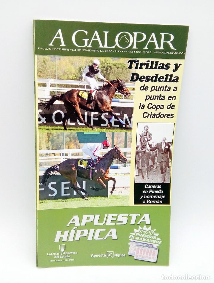 Coleccionismo de revistas y peri&oacute;dicos: Revista h&iacute;pica A Galopar n&ordm; 493 - 2008