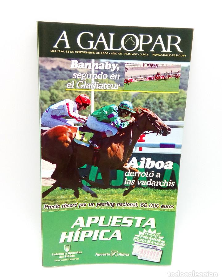 Coleccionismo de revistas y peri&oacute;dicos: Revista h&iacute;pica A Galopar n&ordm; 487 - 2008