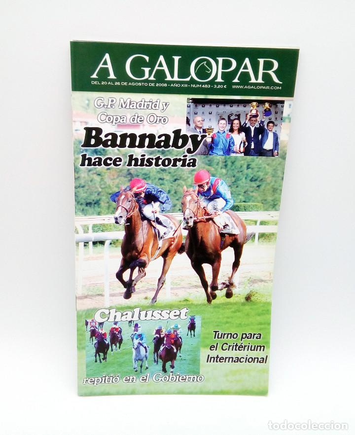 Coleccionismo de revistas y peri&oacute;dicos: Revista h&iacute;pica A Galopar n&ordm; 483 - 2008