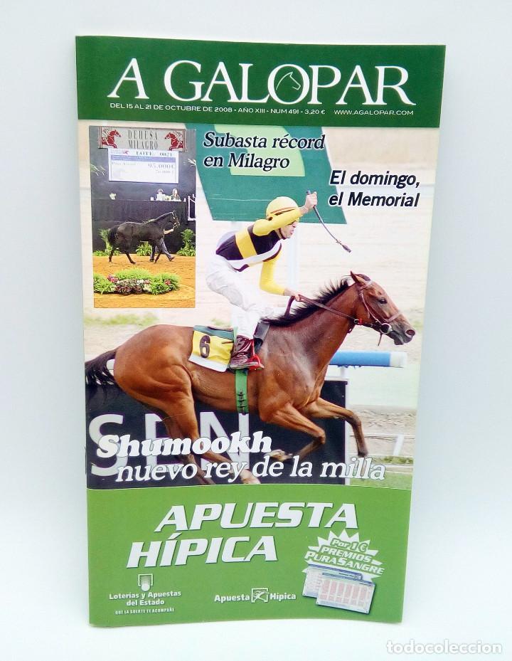 Coleccionismo de revistas y peri&oacute;dicos: Revista h&iacute;pica A Galopar n&ordm; 491 - 2008