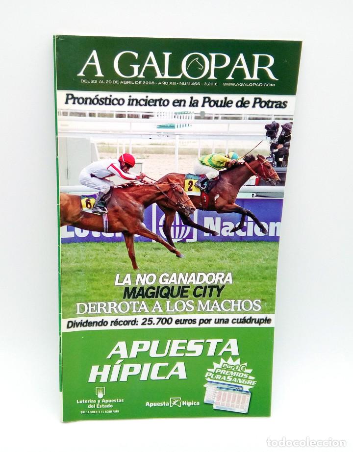 Coleccionismo de revistas y peri&oacute;dicos: Revista h&iacute;pica A Galopar n&ordm; 466 - 2008