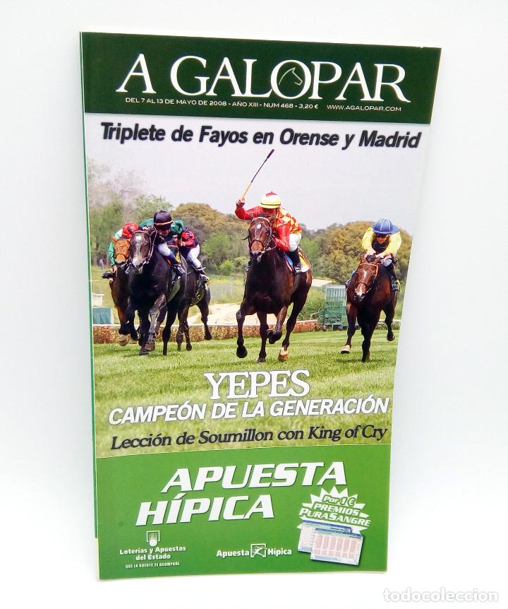 Coleccionismo de revistas y peri&oacute;dicos: Revista h&iacute;pica A Galopar n&ordm; 468 - 2008