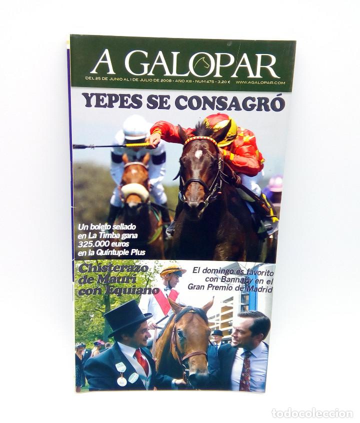 Coleccionismo de revistas y peri&oacute;dicos: Revista h&iacute;pica A Galopar n&ordm; 475 - 2008