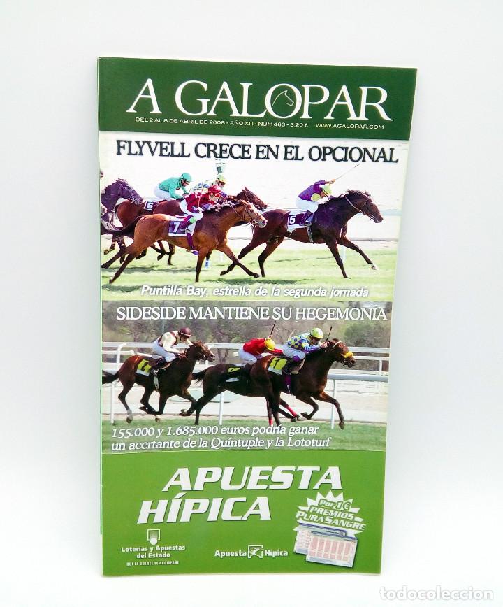 Colecionismo de Revistas e Jornais: Revista h&iacute;pica A Galopar n&ordm; 463 - 2008