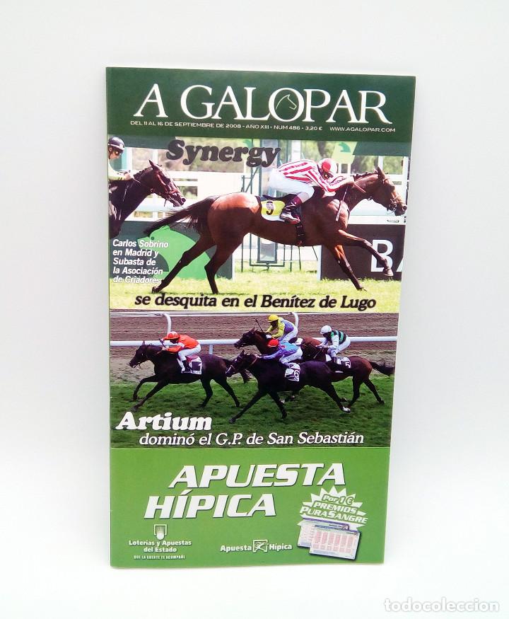 Colecionismo de Revistas e Jornais: Revista h&iacute;pica A Galopar n&ordm; 486 - 2008