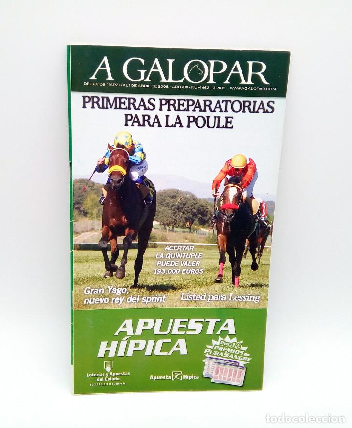 Colecionismo de Revistas e Jornais: Revista h&iacute;pica A Galopar n&ordm; 462 - 2008