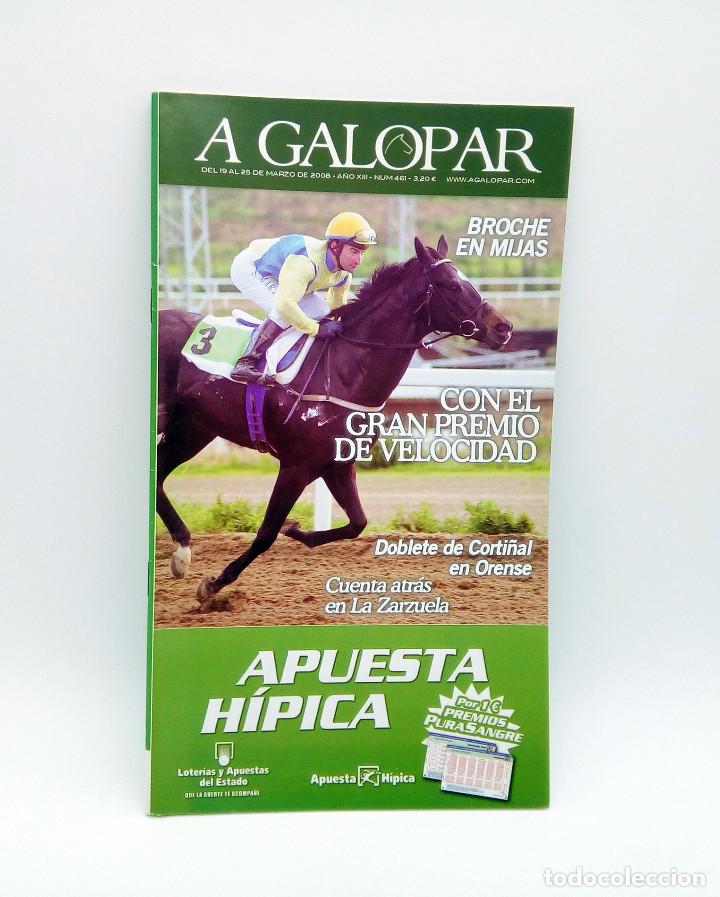 Colecionismo de Revistas e Jornais: Revista h&iacute;pica A Galopar n&ordm; 461 - 2008