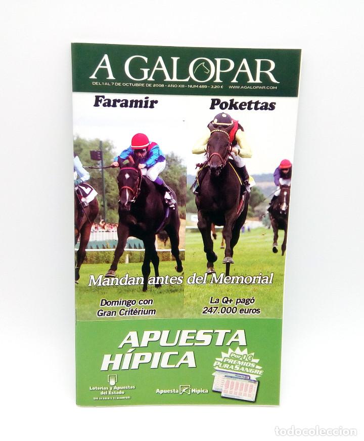 Colecionismo de Revistas e Jornais: Revista h&iacute;pica A Galopar n&ordm; 489 - 2008
