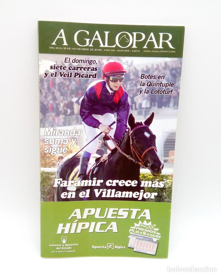 Colecionismo de Revistas e Jornais: Revista h&iacute;pica A Galopar n&ordm; 495 - 2008