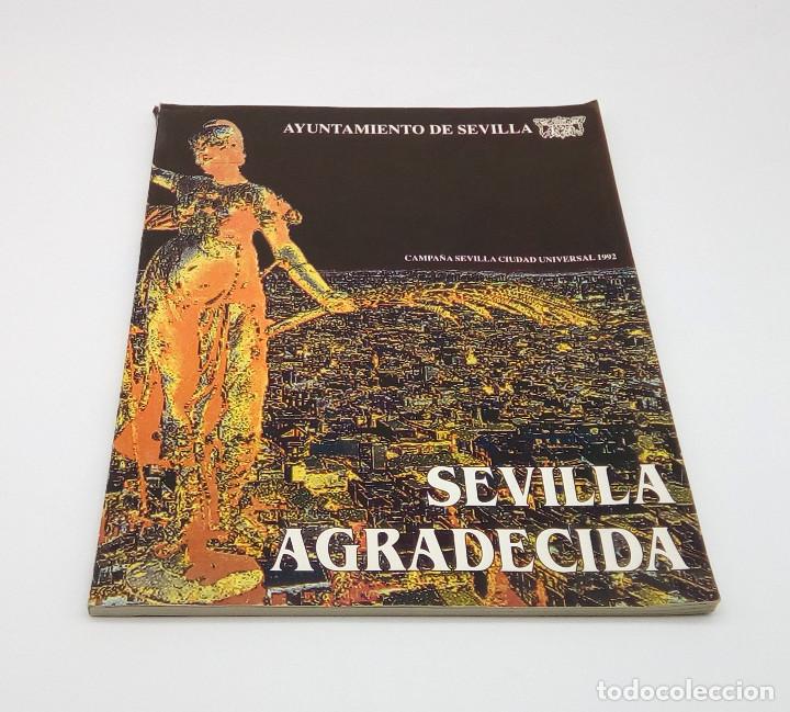 Sammeln von Zeitschriften und Zeitungen: Revista Sevilla Agradecida - 1993
