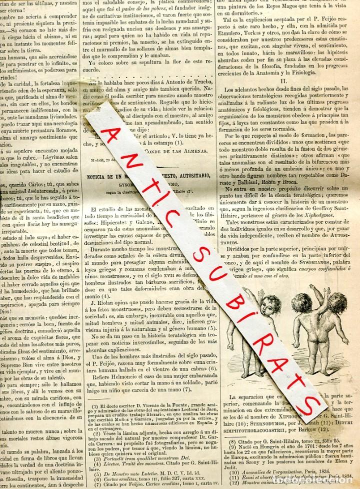 Coleccionismo de Revistas y Peri&oacute;dicos: REVISTA A&Ntilde;O 1876 SIAMESES EXPEDICION AL POLO NORTE PROVEN NORDENSKJOLD LUNDSTROM SUECIA SUECOS