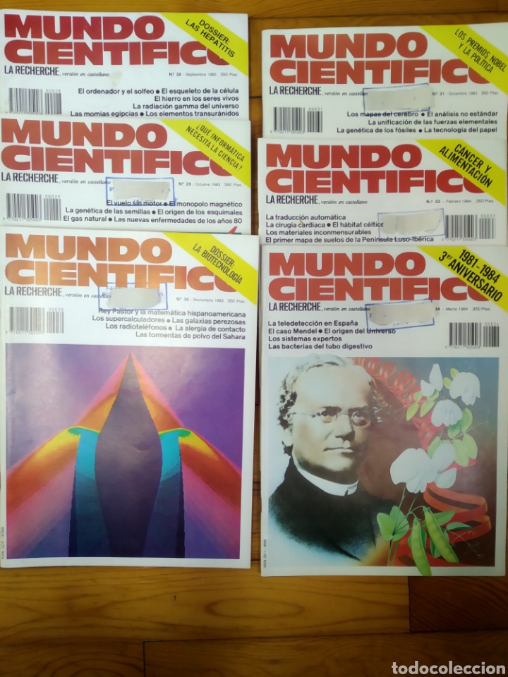 Coleccionismo de revistas y peri&oacute;dicos: MUNDO CIENT&Iacute;FICO LA RECHERCHE N&Uacute;MEROS 28, 29, 30, 31, 33 y 34 septiembre 1983- marzo 1984