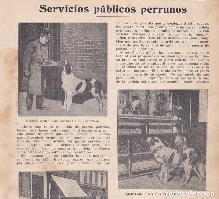 Coleccionismo de revistas y peri&oacute;dicos: * PERROS * Servicios p&uacute;blicos perrunos - 1908 - Foto 1