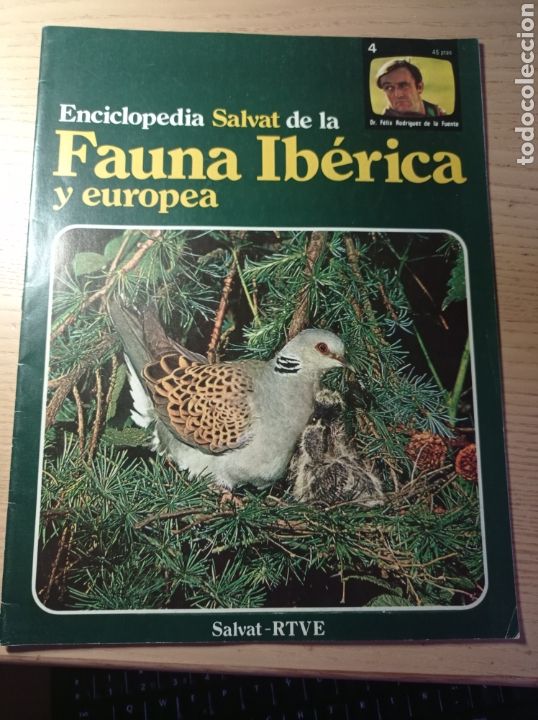 Coleccionismo de Revistas y Peri&oacute;dicos: ENCICLOPEDIA SALVAT DE LA FAUNA IB&Eacute;RICA Y EUROPEA RODR&Iacute;GUEZ DE LA FUENTE RTVE 1975 FASC&Iacute;CULO N 4