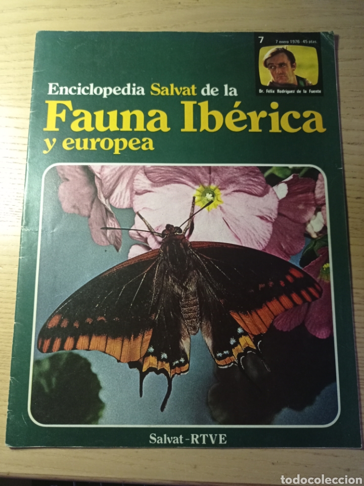 Coleccionismo de Revistas y Peri&oacute;dicos: ENCICLOPEDIA SALVAT DE LA FAUNA IB&Eacute;RICA Y EUROPEA RODR&Iacute;GUEZ DE LA FUENTE RTVE 1975 FASC&Iacute;CULO N 7