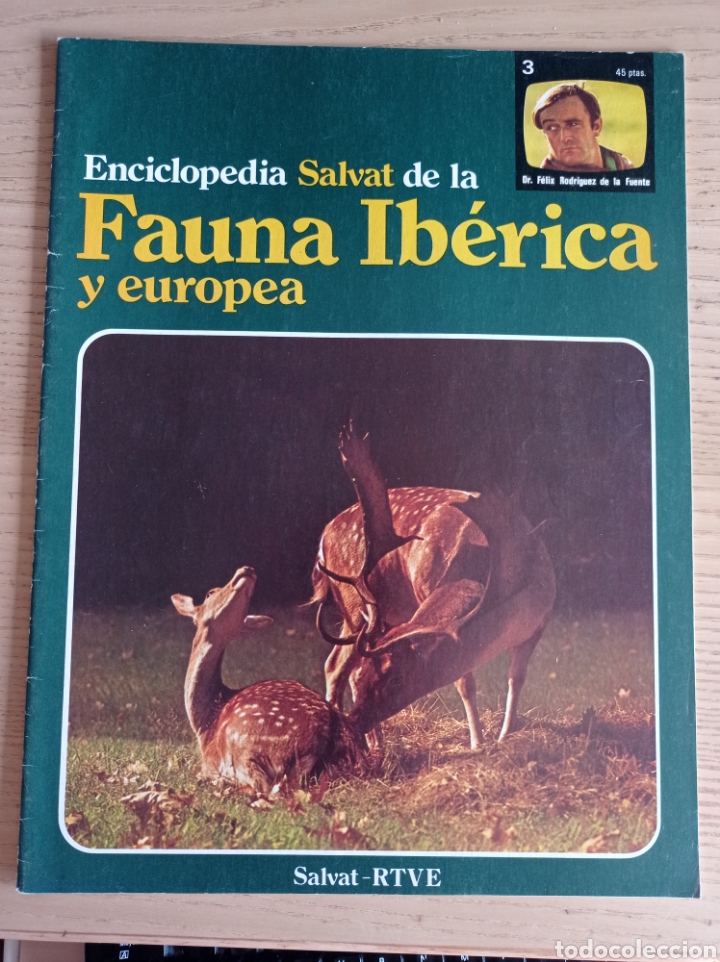 Coleccionismo de revistas y peri&oacute;dicos: ENCICLOPEDIA SALVAT DE LA FAUNA IB&Eacute;RICA Y EUROPEA RODR&Iacute;GUEZ DE LA FUENTE RTVE 1975 FASC&Iacute;CULO N 3