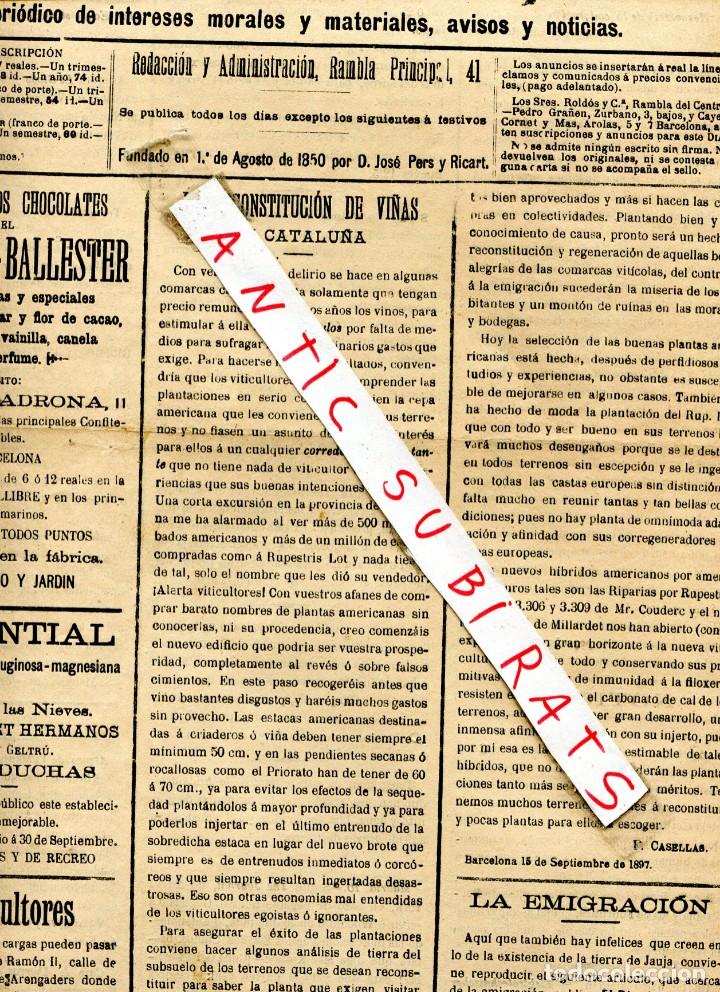 Collection Magazines and Newspapers: DIARIO A&Ntilde;O 1897 RECONSTRUCCION DE VI&Ntilde;AS VI&Ntilde;EDOS DESPUES DE LA FILOXERA VINO RUPESTRIS LOT PRIORAT