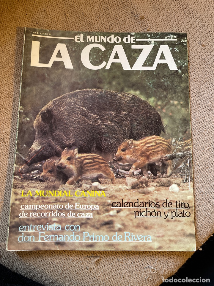 Collection Magazines and Newspapers: Revista el mundo de la caza
