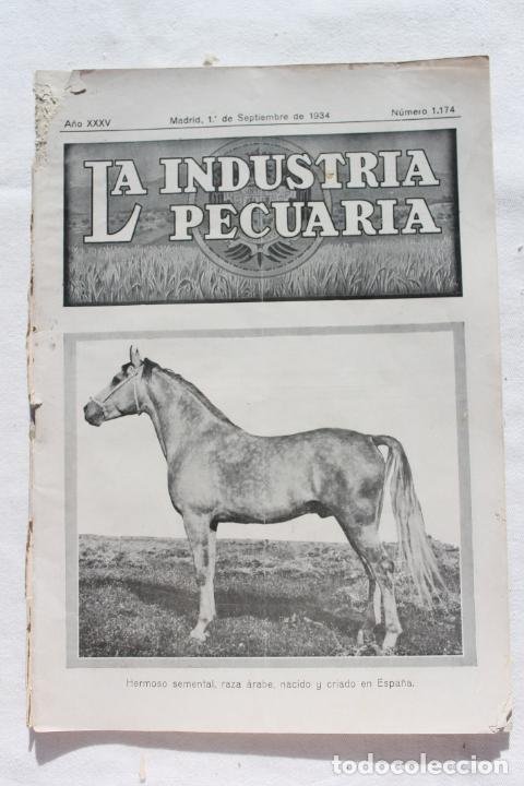 Collection Magazines and Newspapers: LA INDUSTRIA PECUARIA SEPTIEMBRE 1934, N&ordm; 1174